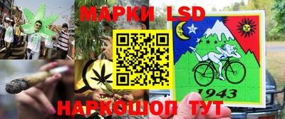 PSILOCYBIN Будённовск
