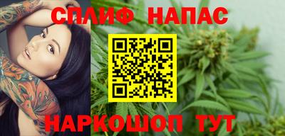 PSILOCYBIN Бугуруслан