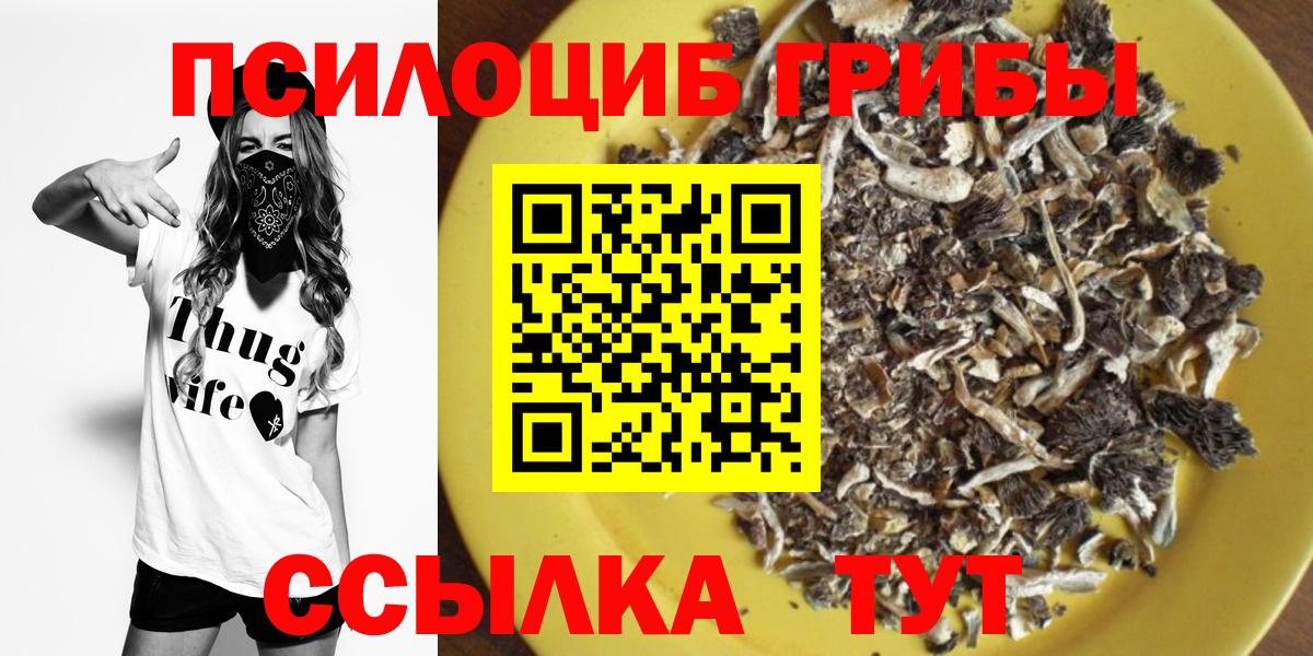 Старая Русса  Псилоцибиновые грибы MAGIC MUSHROOMS  купить наркотик  Вход с VPN 