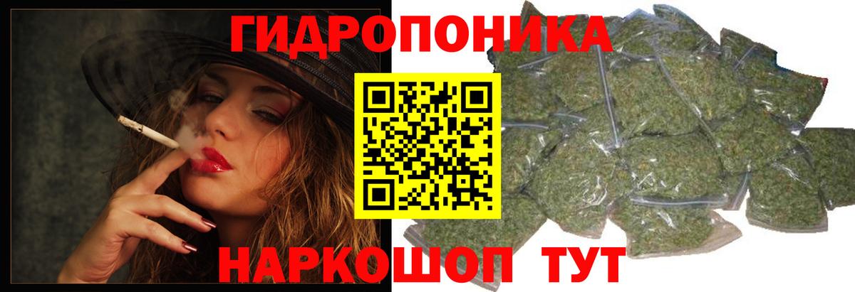 Старая Русса  Бошки Шишки конопля  Канабис Bruce Banner  Вход с VPN 